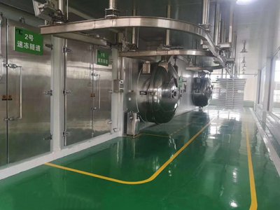 真空冷凍干燥機(jī)廠家講起源歷程 真空冷凍干燥機(jī)廠家講起源歷程